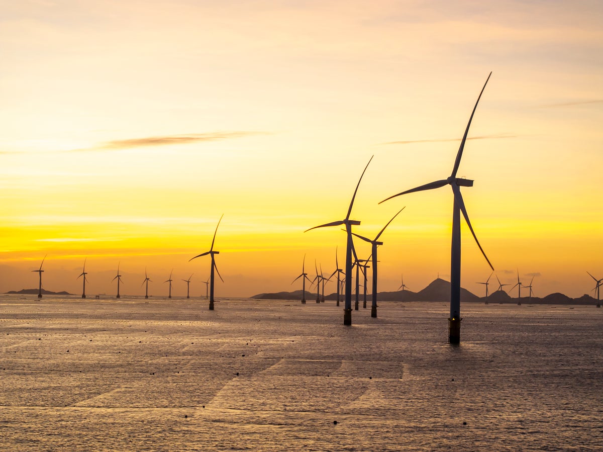 Entomological context