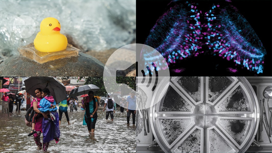 Scientific context visualization