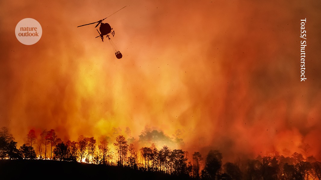 Scientific context visualization